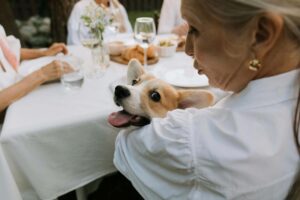 A smiling older woman cuddles a happy corgi at an outdoor dinner table, surrounded by friends and food. This joyful moment reflects how building supportive routines—including nutrition therapy in Raleigh, NC—can foster emotional balance and ease transitions like menopause. A reminder that joy, connection, and even pet companionship can be meaningful tools alongside binge eating disorder therapy in Asheville, NC.